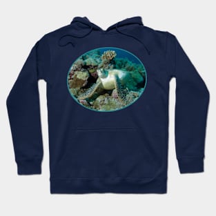 Sea turtle | Break on the way | Hoodie